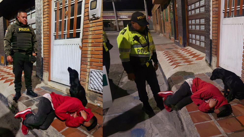 Su perro lo cuidó de que no le pasara nada mientras "dormía la mona" (Facebook).
