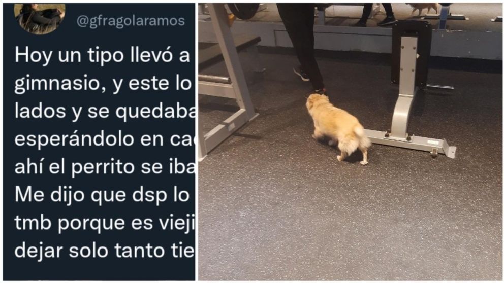 El posteo se volvi� viral y lleg� al due�o de la perrita protagonista de la historia.