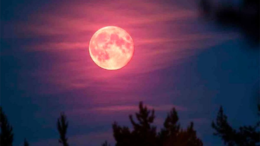 Horóscopo: los 4 signos que sentirán con más fuerza la Luna Rosa de abril.
