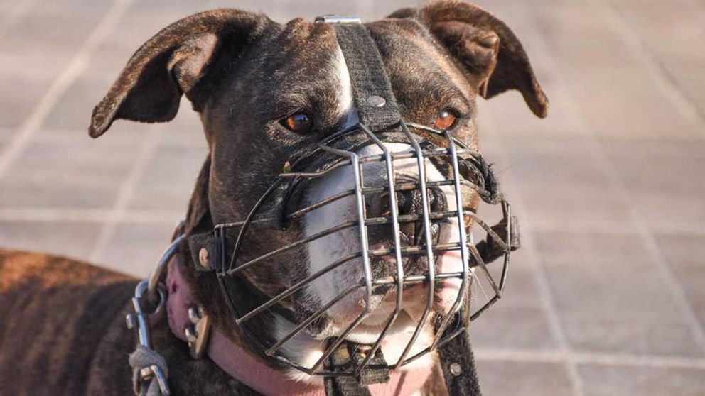 El caso tuvo lugar en julio de 2020, en la provincia de Salta.