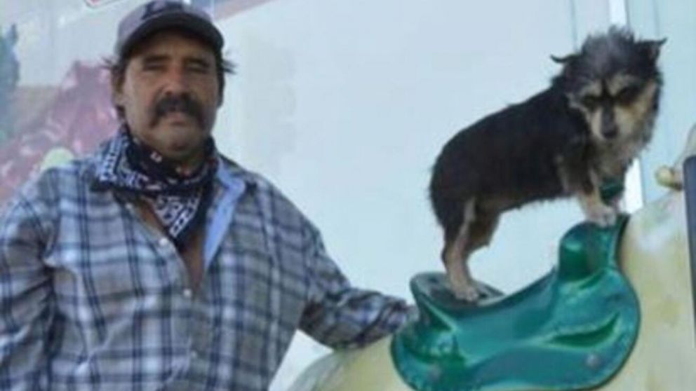 Guillermo Hernández y su perrita "Chiquilina" se volvieron furor en las redes sociales (TikTok).