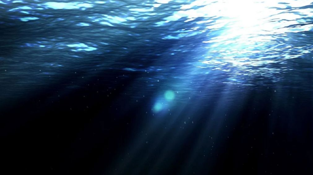 Un experto en aguas profundas halló una misteriosa criatura en el mar y aterró a sus seguidores de Instagram.