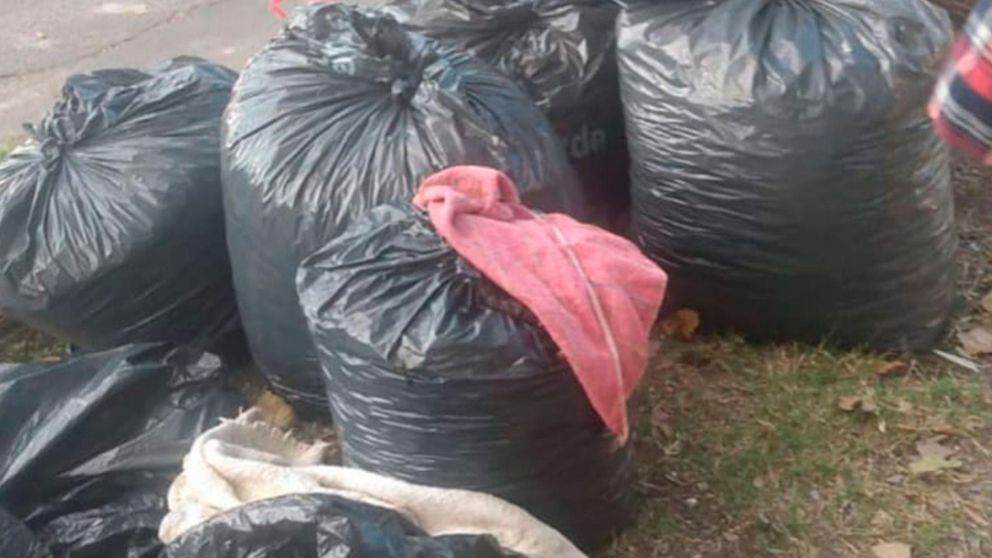 La beba fue encontrada entre bolsas de basura en la localidad bonaerense de Mor�n.