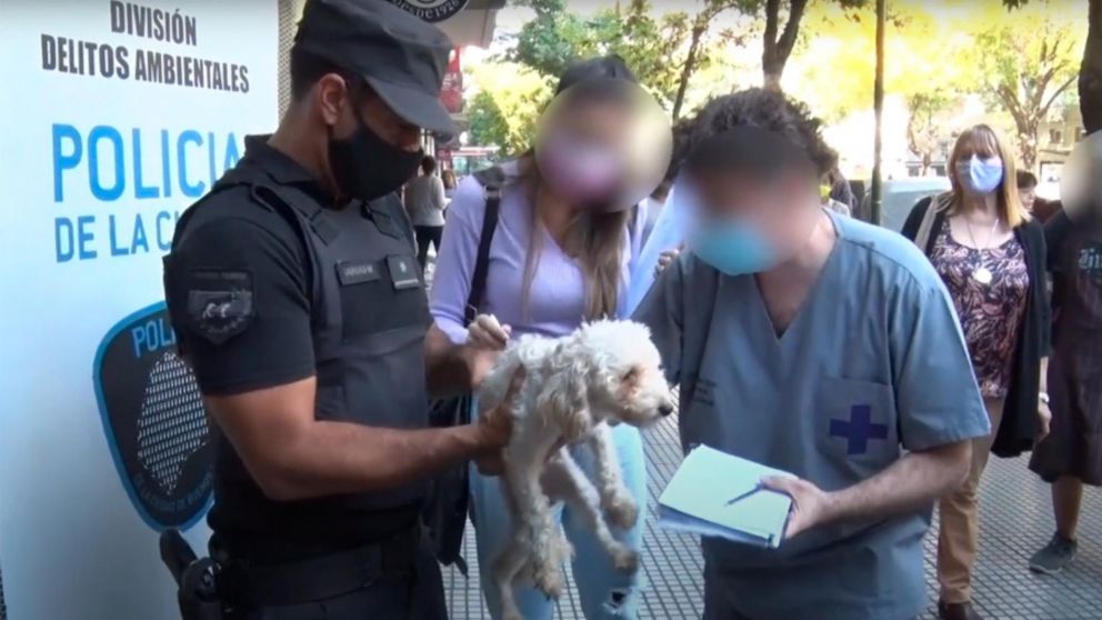 Tras ser rescatados los animales fueron revisados por un veterinario (Télam).