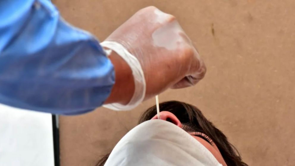 La banda fue desbaratada por agentes de la Policía Federal Argentina.