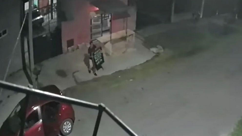 El ins�lito ocurri� en el barrio Villa Albertina de Lomas de Zamora (Captura de video).