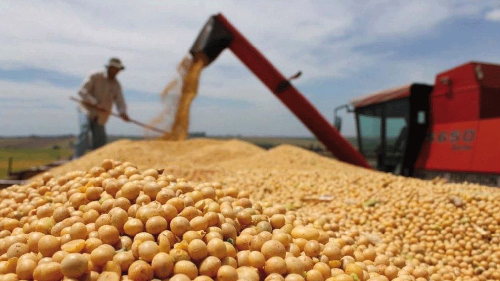 Desde la Sociedad Rural reclaman que las retenciones "deber�an ser cero".