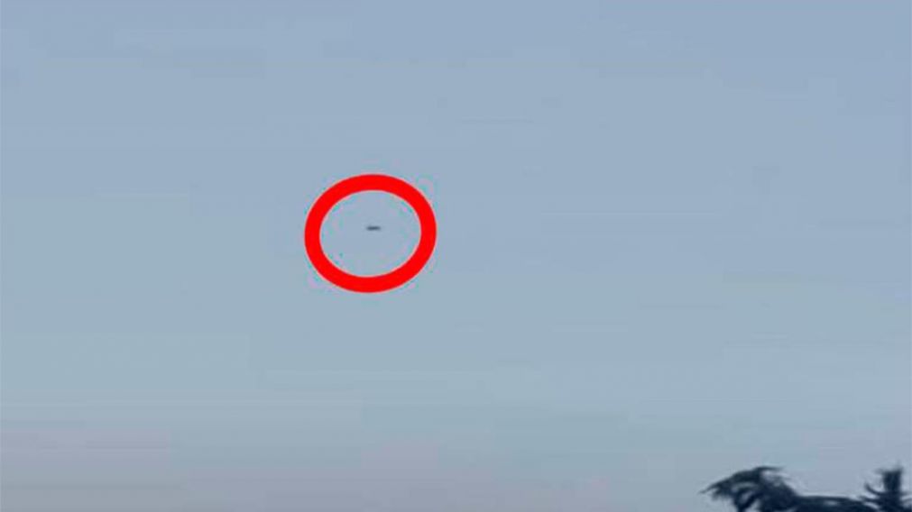 El hecho ocurrió en Queensland, al norte de Australia.