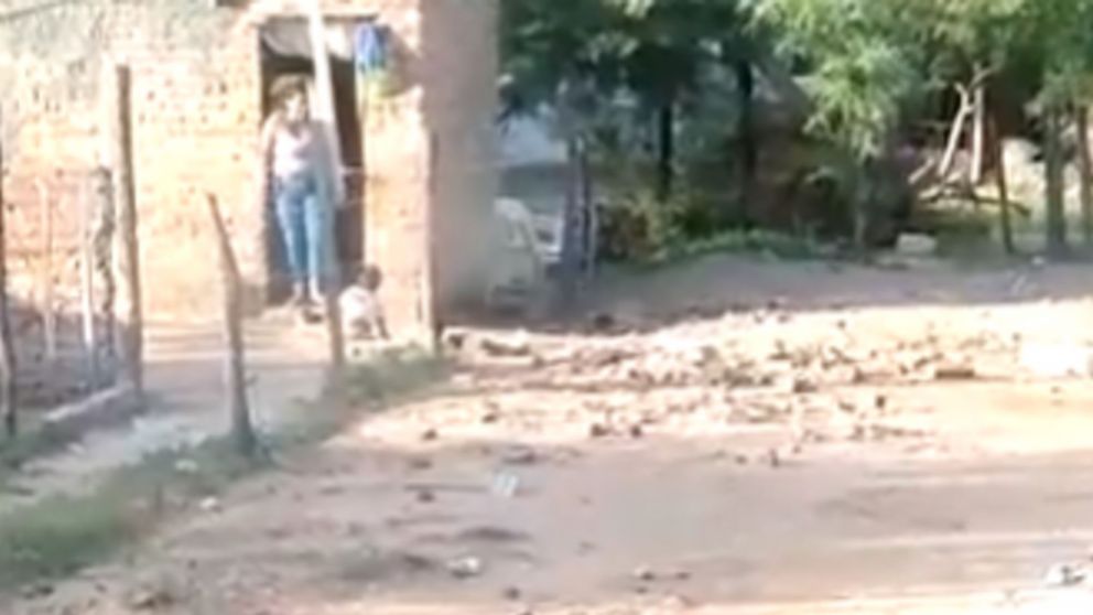 Una mujer golpeó brutalmente a su hijo de un año y medio en la cabeza.