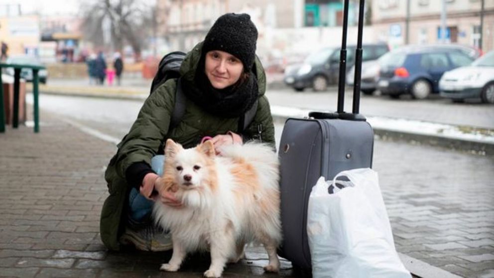 Una joven adoptó al perro que le salvó la vida cuando su casa sufría un feroz bombardeo (imagen The Mirror).