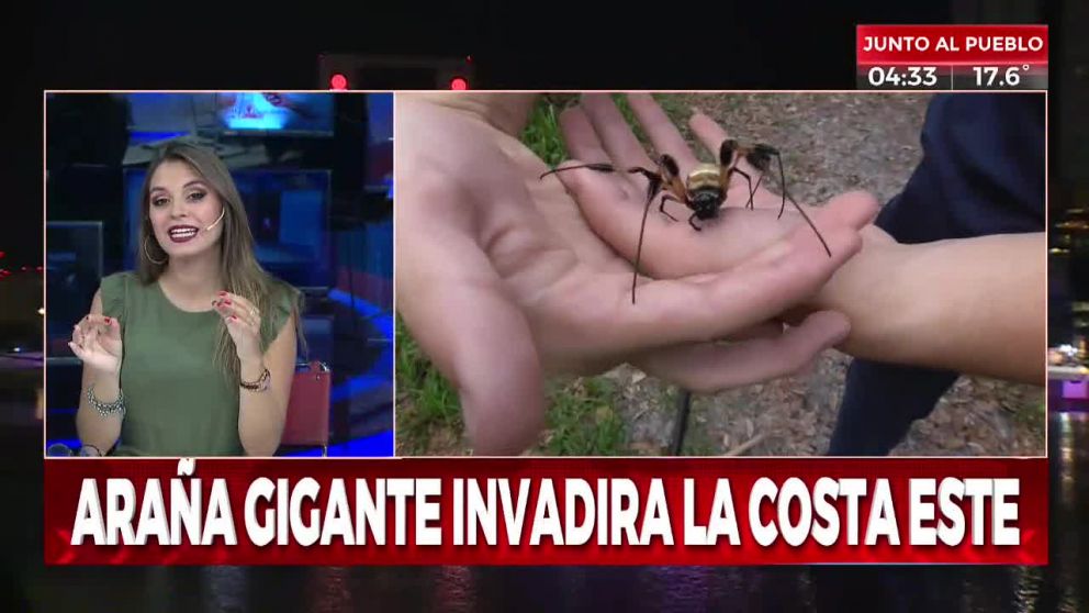 Crónica HD