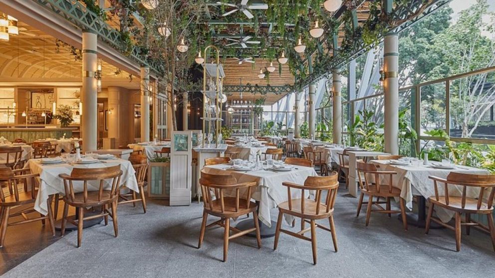 La tiktoker escrachó el restaurante en las redes sociales.