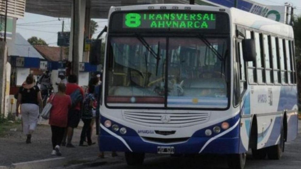 El ins�lito hecho ocurri� en un interno de la empresa Transversal de Salta.