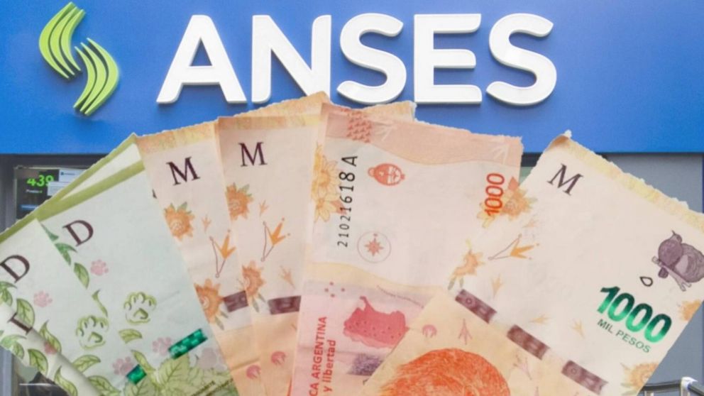 La ANSES paga este beneficio, que promueve el Ministerio de Desarrollo Social de la Nación.