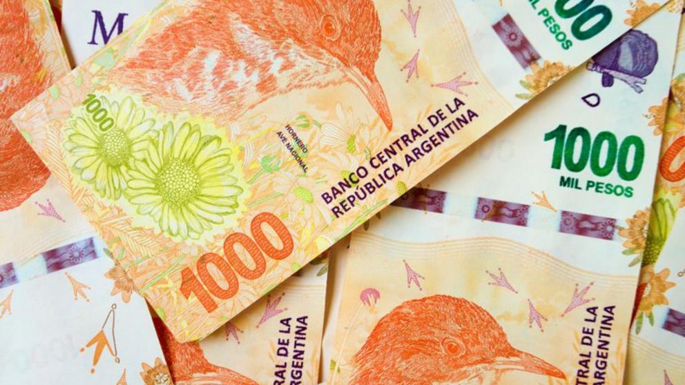 El Programa Acompa�ar busca brindar asistencia a�mujeres y personas�LGBTIQ+�en situaci�n de violencia de g�nero.