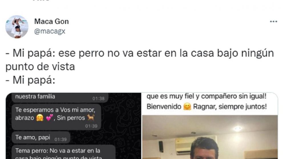 Le pidió permiso a sus "viejos" para llevar un perro a casa y su respuesta se hizo viral (Twitter).