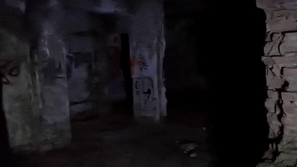 Los investigadores encontraron al alien en el sótano de un hospital abandonado.
