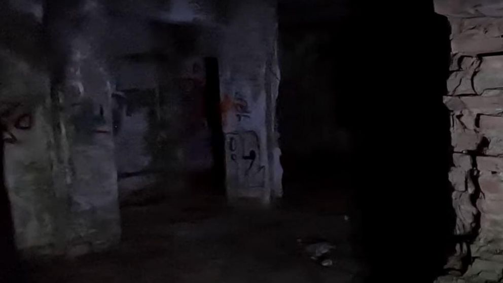Los investigadores encontraron al alien en el sótano de un hospital abandonado.