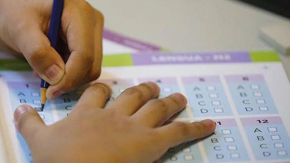 Los montos a cobrar que parten desde $ 5342 se pondrán en marcha únicamente para quienes cuenten con los formularios de escolaridad cargados en Mi ANSES.