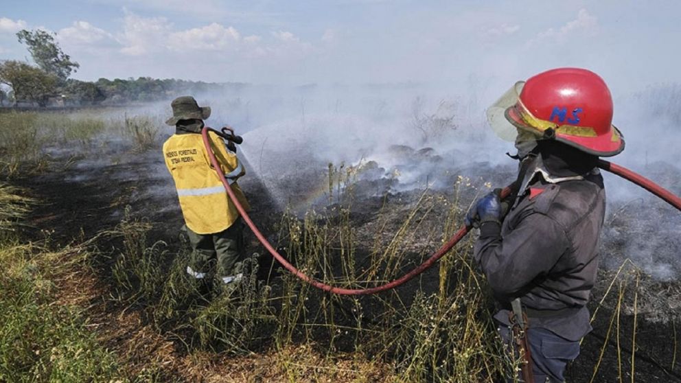 Los incendios ya afectaron al 10% de la superficie total de Corrientes (Foto: Germán Pomar).
