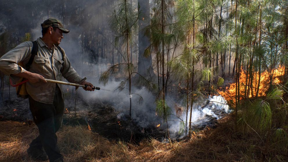 Son ocho los focos de incendio que permanecen actualmente activos n la provincia de Corrientes (Télam).
