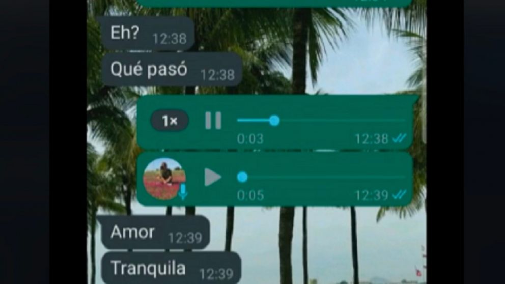 El fumigador entró a hacer su trabajo a su casa y le robó una fruta (TikTok).
