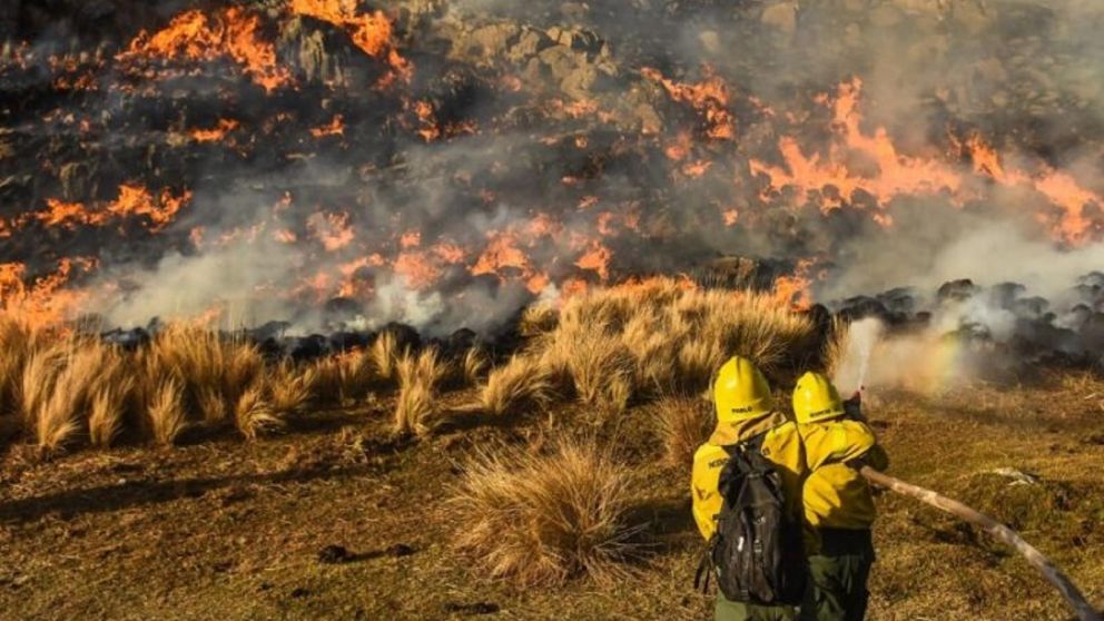 La provincia de Corrientes fue declarada “zona de catástrofe ecológico y ambiental” (radiografica.org.ar).