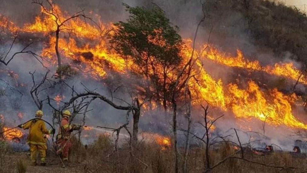 Se estima que el fuego puede llegar a Misiones en las próximas horas.