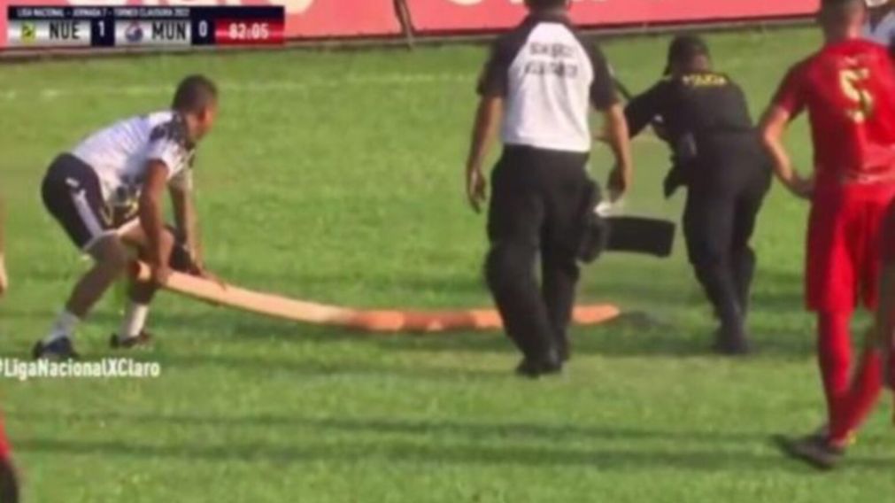 una serpiente interrumpió un partido de fútbol y casi ataca a los jugadores cuando intentaron sacarla (imagen captura vídeo).