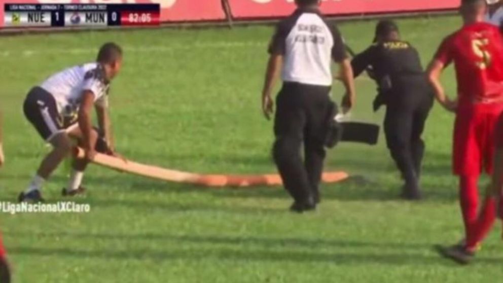 una serpiente interrumpió un partido de fútbol y casi ataca a los jugadores cuando intentaron sacarla (imagen captura vídeo).