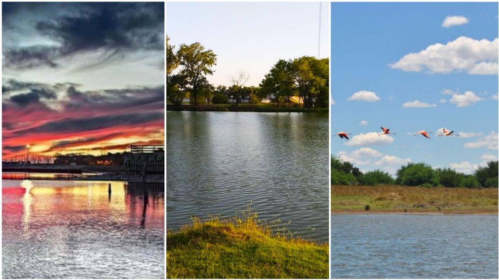 Cinco lagunas para visitar en la Provincia de Buenos Aires.