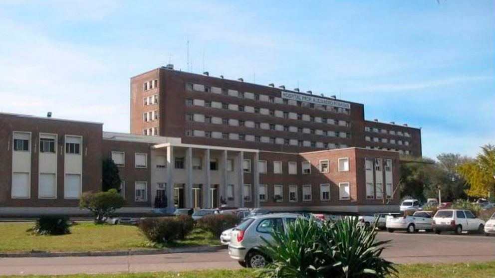 Las dos menores que fueron atacadas por perros de raza pitbull se encuentran internadas en el Hospital Posadas.
