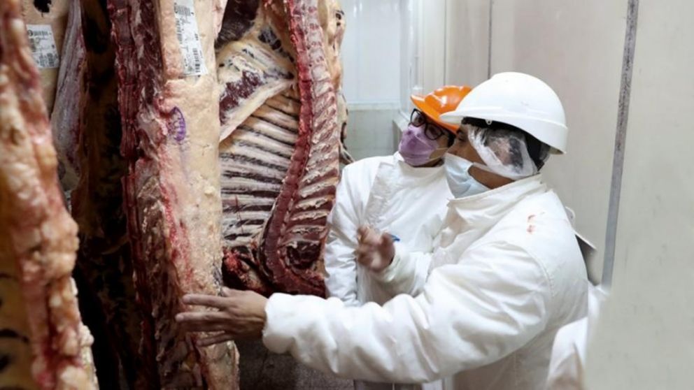 El consumo de carne vacuna totalizó 512,8 mil toneladas en el trimestre del año.