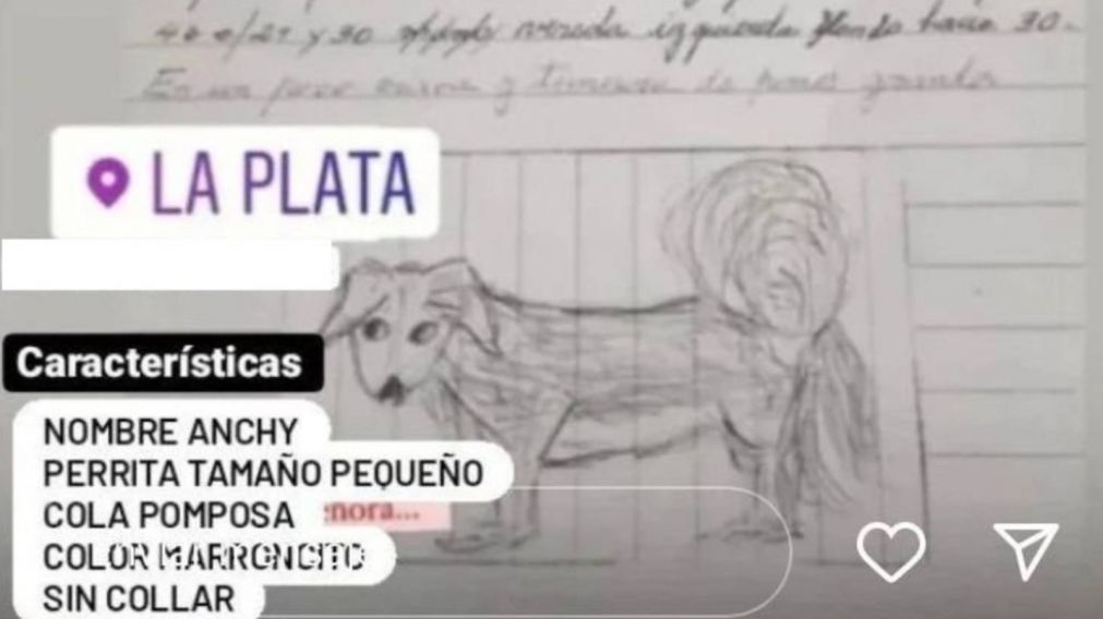 La señora es mayor y como no cuenta con redes sociales ni fotos de su mascota decidió dibujarla para que cualquiera la pueda identificar.