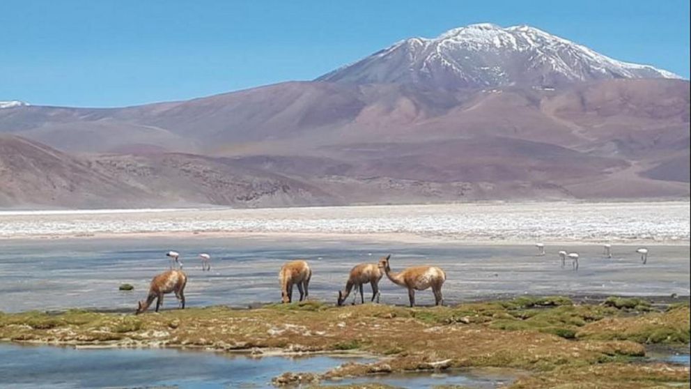 El programa Previaje fomentó el turismo interno en la Argentina. Catamarca ofrece paisajes desconocidos que maravillan.
