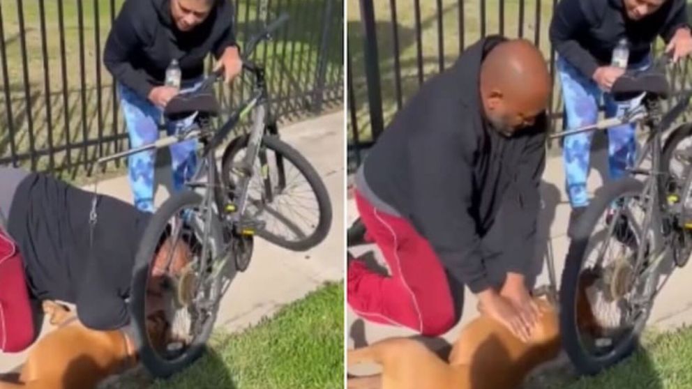Un hombre le salvó la vida a un perrito al practicarle RCP y su acción se viralizó en las redes (imagen captura vídeo).
