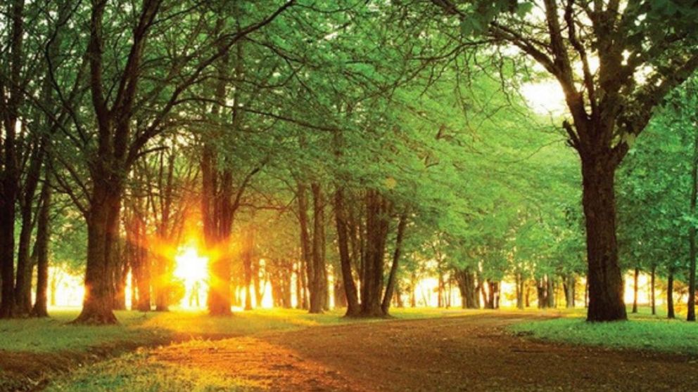 La Provincia de Buenos Aires presenta numerosas escapadas a menos de dos horas de Capital Federal.