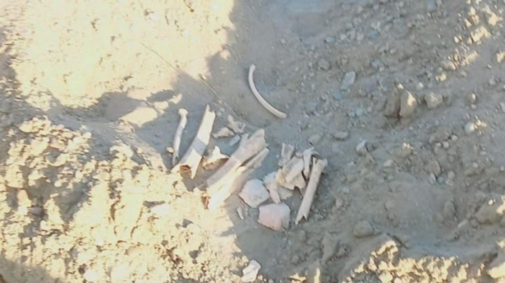 Los restos aparecieron mientras se realizaba una excavaci�n para concretar obras en el lugar.