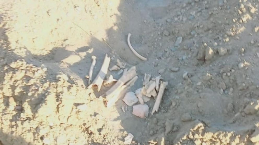 Los restos aparecieron mientras se realizaba una excavación para concretar obras en el lugar.