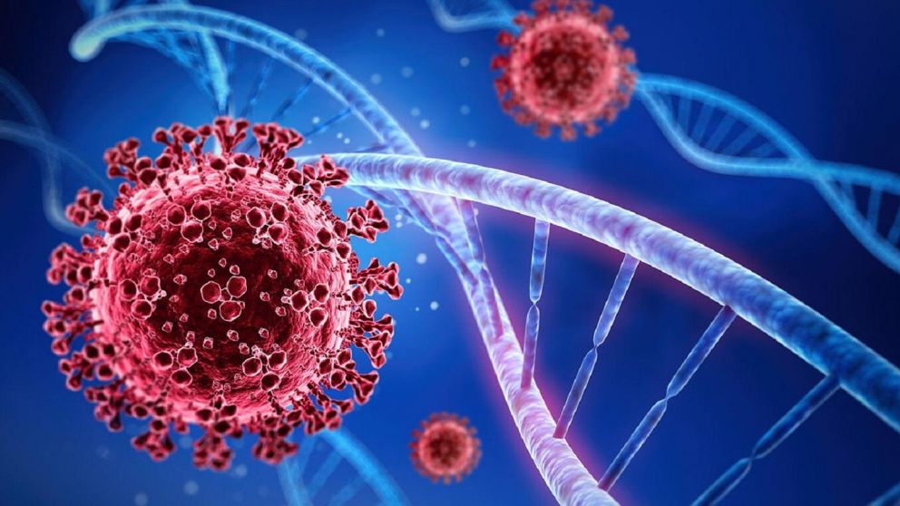La púrpura palpable es un otro síntoma que indicaría que transcurrimos la enfermedad de Covid-19. (Imagen Ilustrativa)