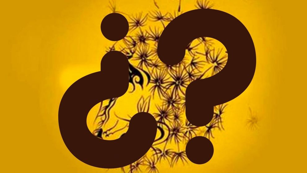 Hacé el test en un minuto y animate a descubrir más sobre vos mismo.