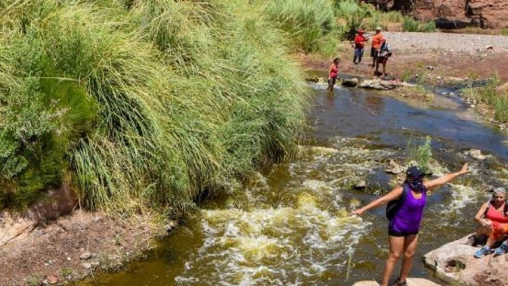 Los lugares recomendados que tenes que visitar. 