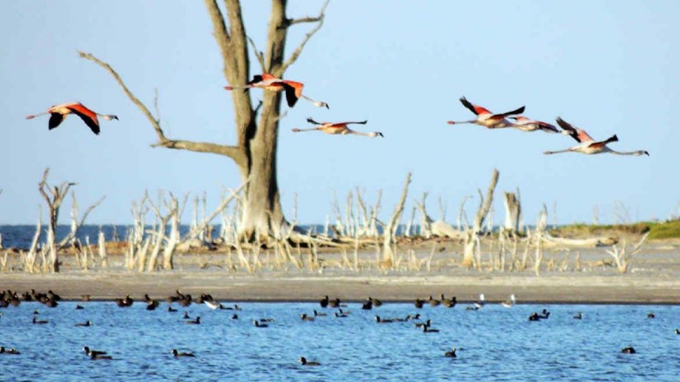 Este destino cordobés sorprende por sus playas con atardeceres de ensueño en la costa de la laguna de Mar Chiquita, sus paisajes y su gran diversidad natural.