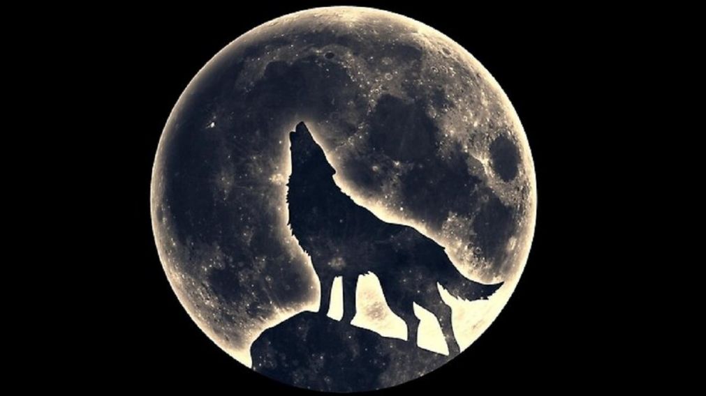 Hor�scopo: �C�mo afectar� la Luna llena en G�minis a cada signo?