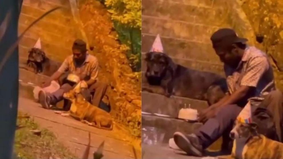 Choco es un joven en situación de calle que siempre le festeja el cumpleaños a sus perros, Shaggy y Nena.