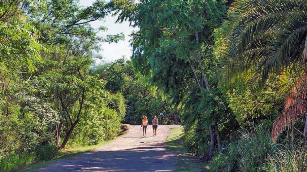 Reserva Ecológica Costanera Sur, uno de los sitios favoritos para pasear en Buenos Aires.