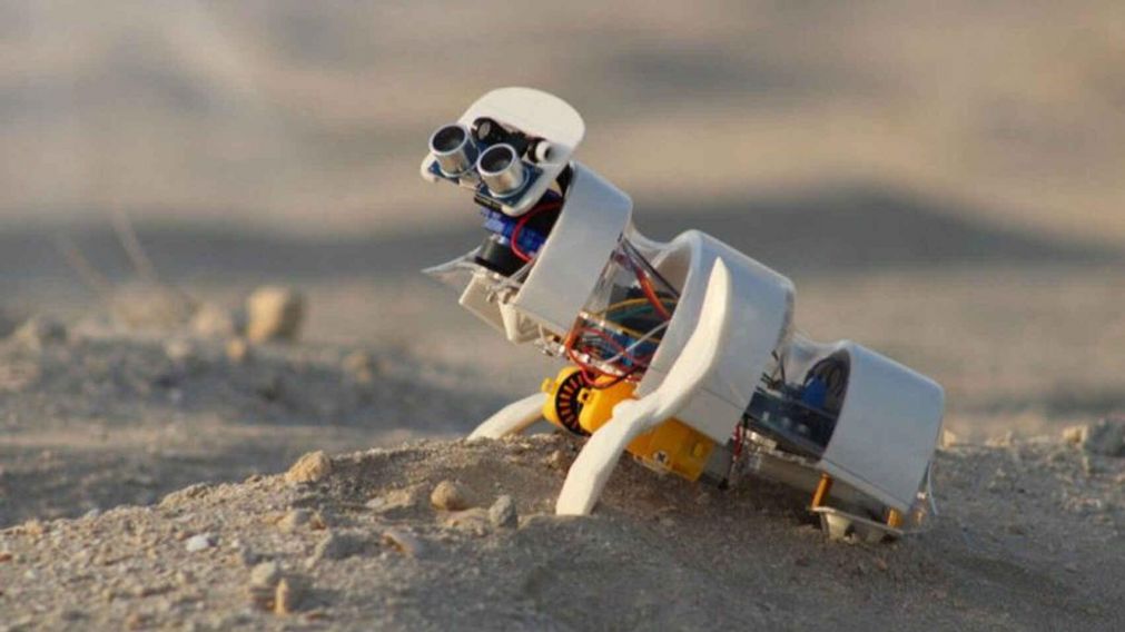 El robot fue creado por científicos de los Emiratos Árabes Unidos (Twitter).