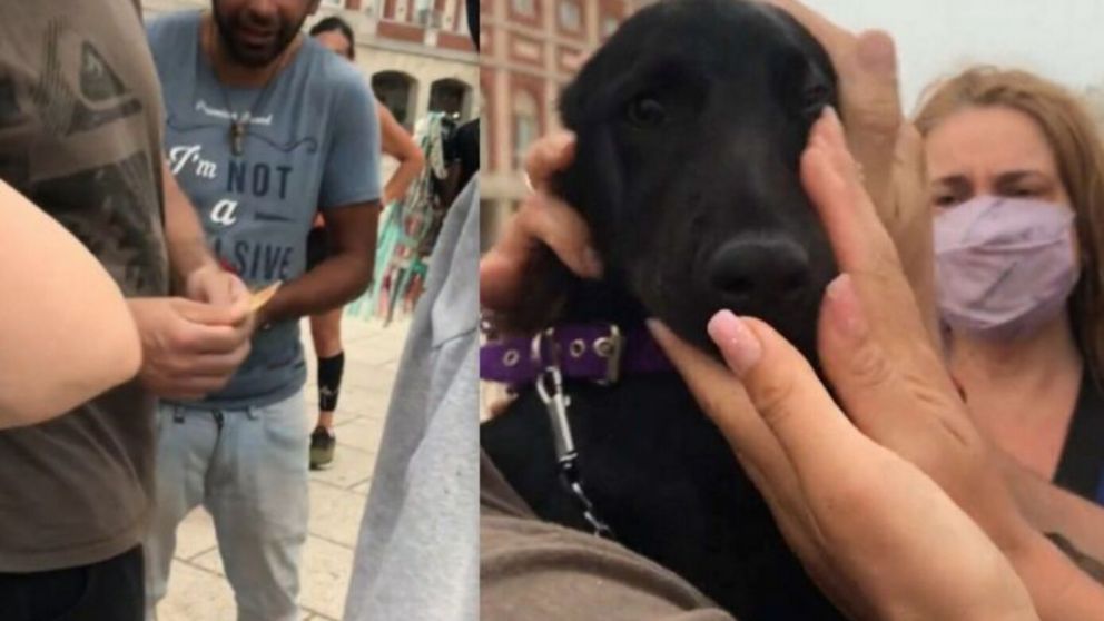 Un hombre maltrataba a su perro en la calle y unas personas juntaron 4 mil pesos para rescatarlo (imagen captura vídeo).