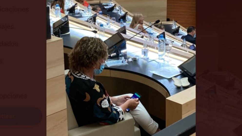 Milena Rosso es la legisladora que jugó con el celular en plena sesión.