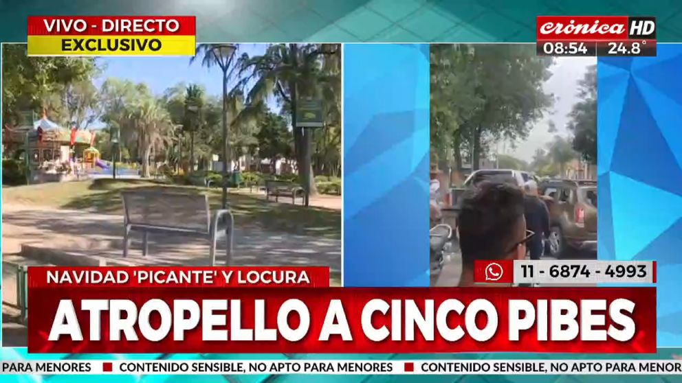 La brutal paliza ocurrió en la Plaza Inclusiva Manuel Belgrano, en Merlo (Crónica HD).
